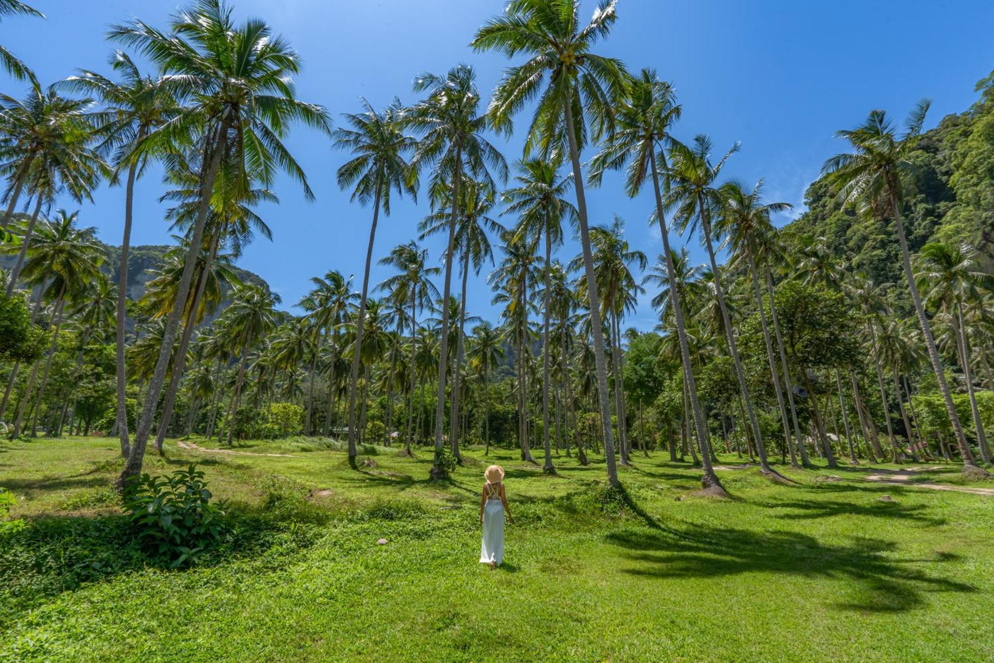 Tinidee Hideaway Tonsai Beach Krabi - Sha Extra Plus Экстерьер фото
